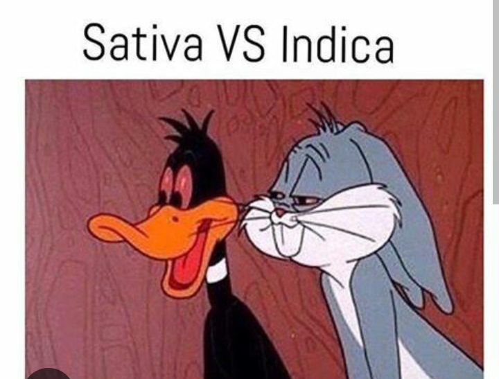 Screenshot_20230806-095718~2