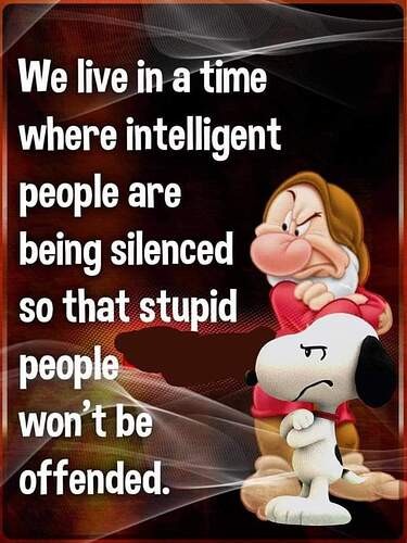 782e8e420f9a8e249bdf8965a2f471122f154240_2_375x500