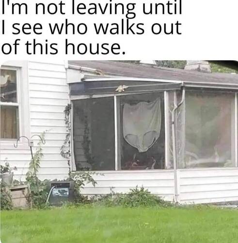 67ecf5102bade3efa763dc077a869aba983886e4_2_491x500