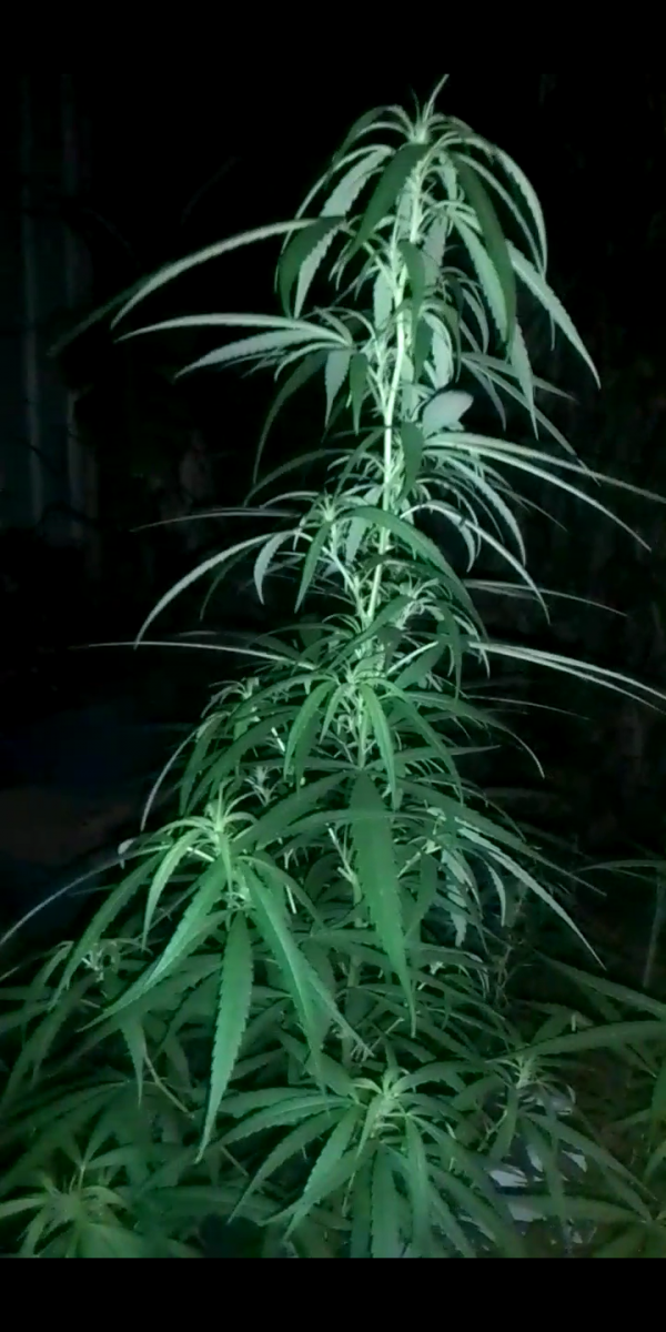 Screenshot_20230816-222907