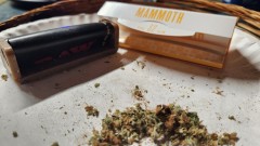 16923957613748487207773321196519