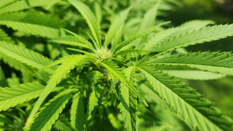 1692640920029485271931155631012