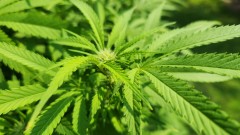 1692640920029485271931155631012