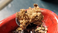 16927390374947542894724875417290