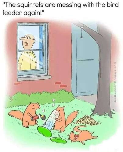 a764c467e5f16669be85a596b1d39d5bafadc6a8_2_403x500