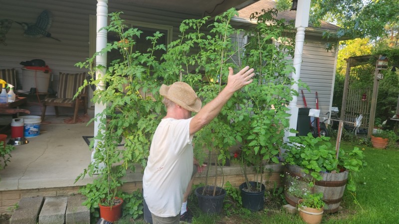 16929176979321665322188766369571