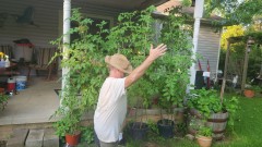 16929176979321665322188766369571