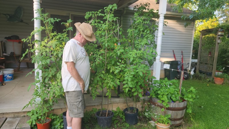 16929178051614087013045101288558