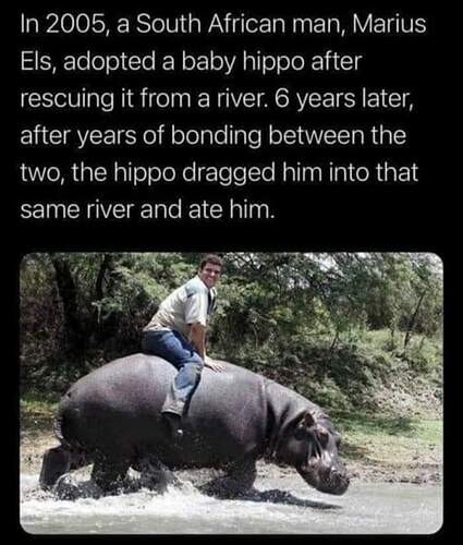 5d49c1feb71fc07913a5ab9beeae159e24403e5e_2_425x500