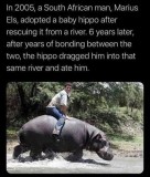 5d49c1feb71fc07913a5ab9beeae159e24403e5e_2_425x500