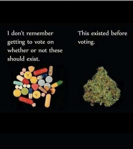 52475fea4f299b02b0f1762459c01f67760c91de_2_446x500