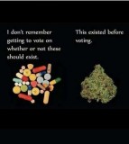 52475fea4f299b02b0f1762459c01f67760c91de_2_446x500