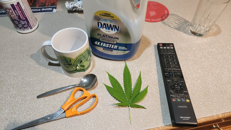 16935078924318068002282577907020