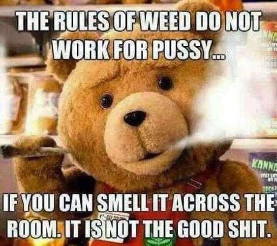 340780607f74d1aa4ec71e77beca666f68ec00ae_2_563x500