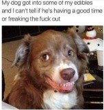 3fcc4b8d55fe0cb3717b8b186fc828e05827ea9f_2_475x500