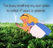 681878ac9800e6d1d4fd18c449d9ce28fb4e4059_2_553x500