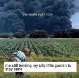 3c3e3f56973d359c2b9eb8270808fd151592d243