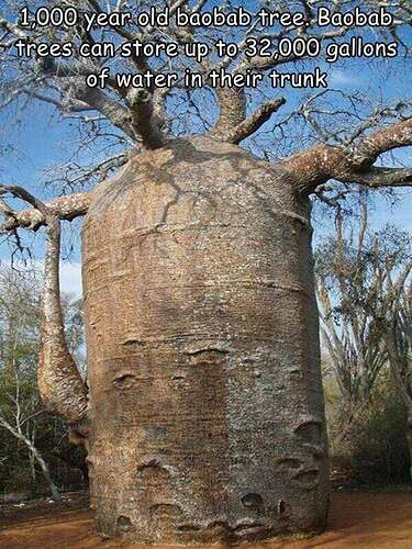 89c22ac0d7d01e696fe3cffb6b0097a27388a3ad_2_375x500