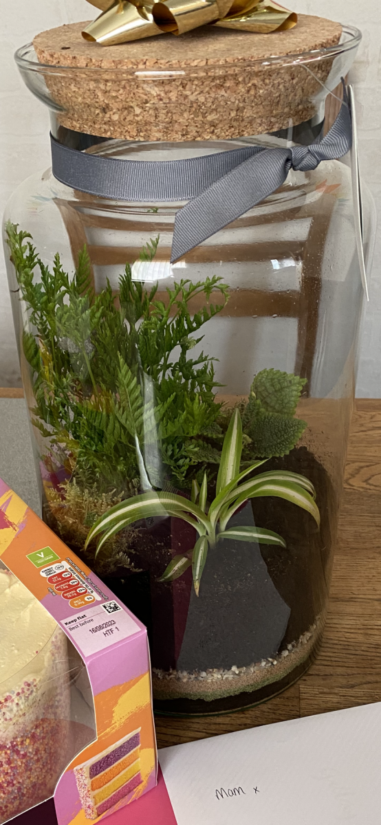 684B4877-2E74-422B-ACA1-D4E5D5C4B6E0