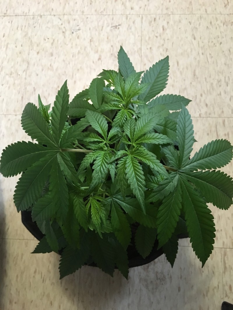 3E8E81F5-7EF5-46B5-8BB4-D97D8A7D65A1