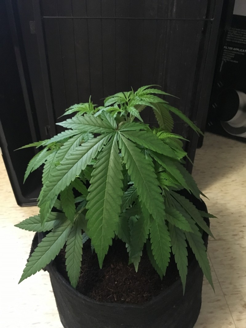 2BAB56D4-0636-4F57-BA56-6D211614476D