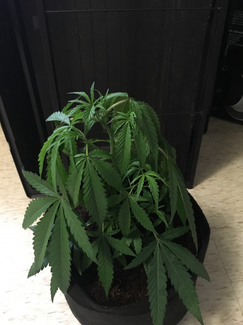 69434166-1B6B-4A52-9A2E-D00863C08799