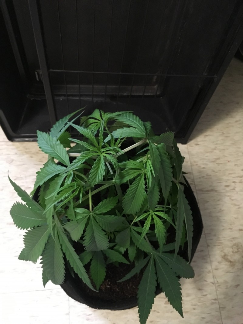 FE153F83-761D-475A-913F-156682B6DC93