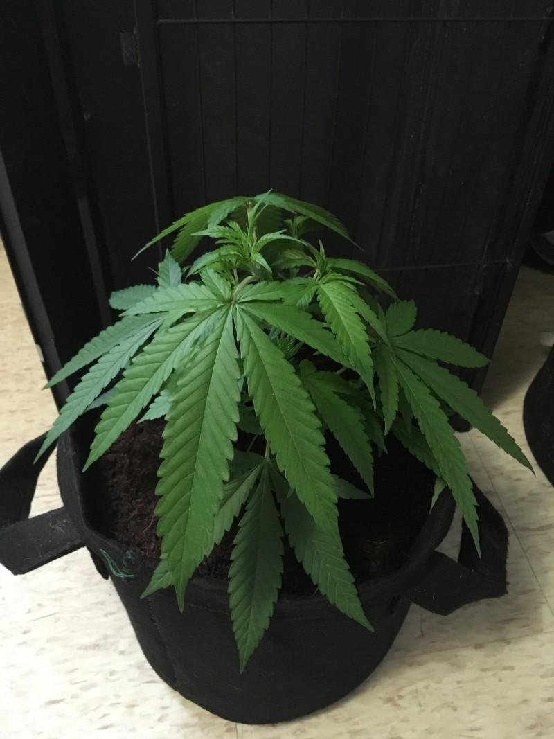 0BA47A13-36CC-4484-91AA-5F53BC9363ED