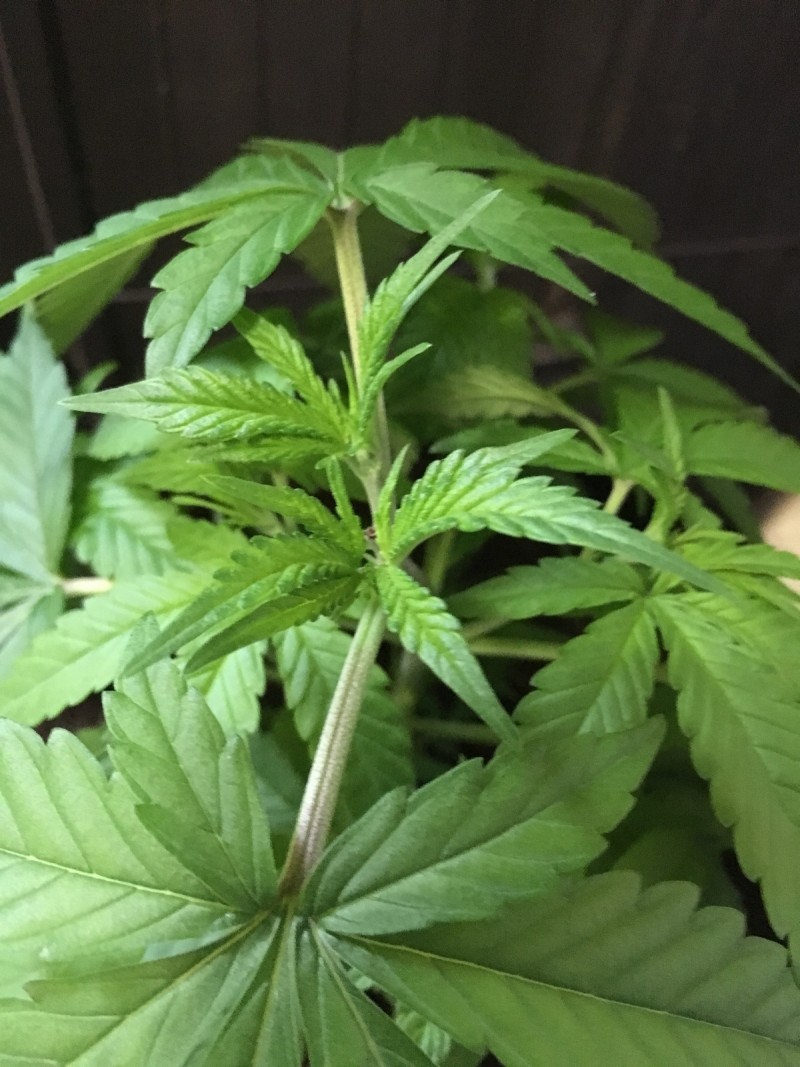 C5E8D220-870D-41CA-8931-6F847E7BC977