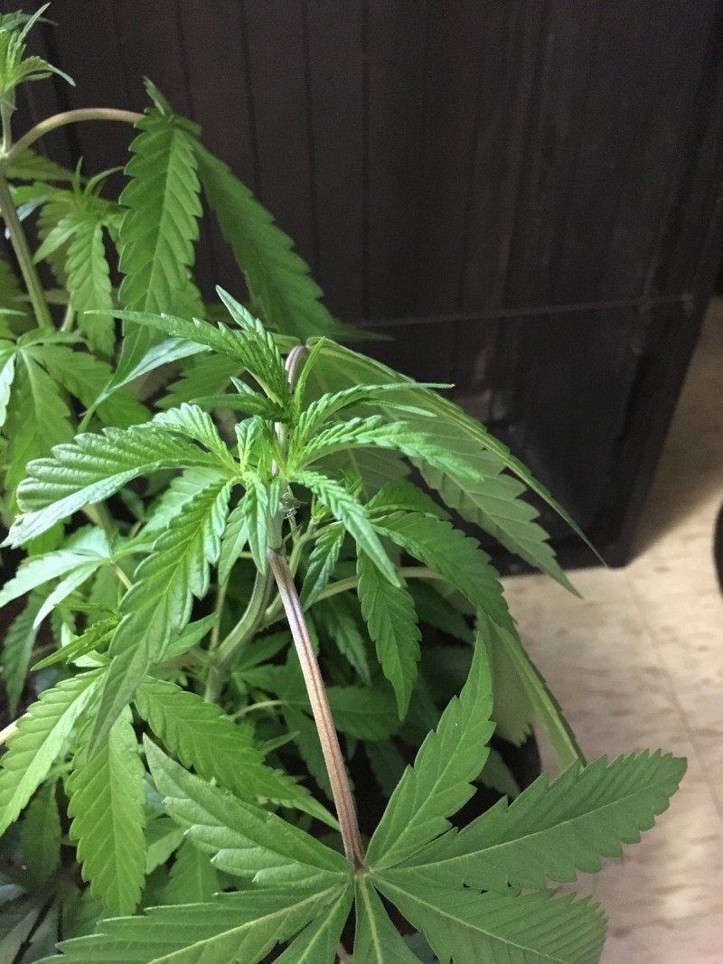 C0764B6B-1B3D-485D-901E-5631FE1101A1