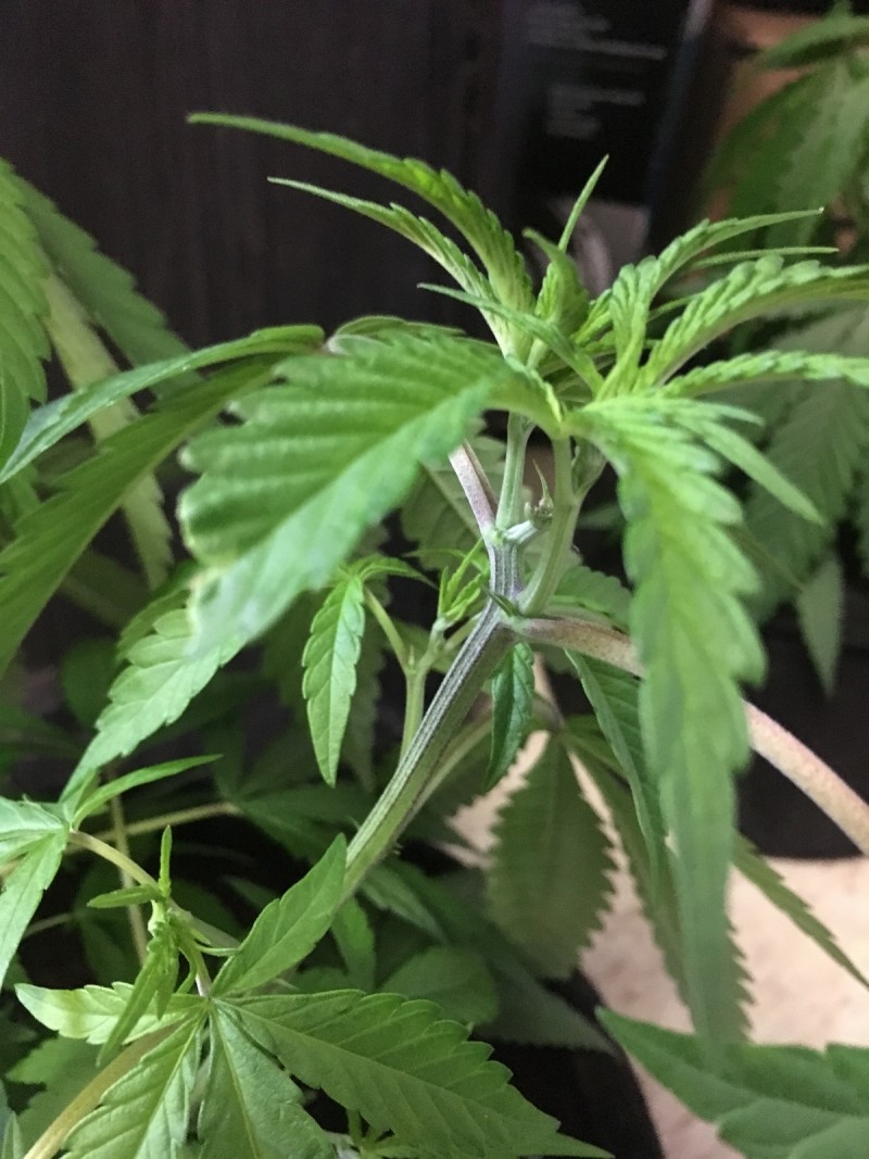 2E415248-CD1D-4B95-8EC0-61DE650CBF2B