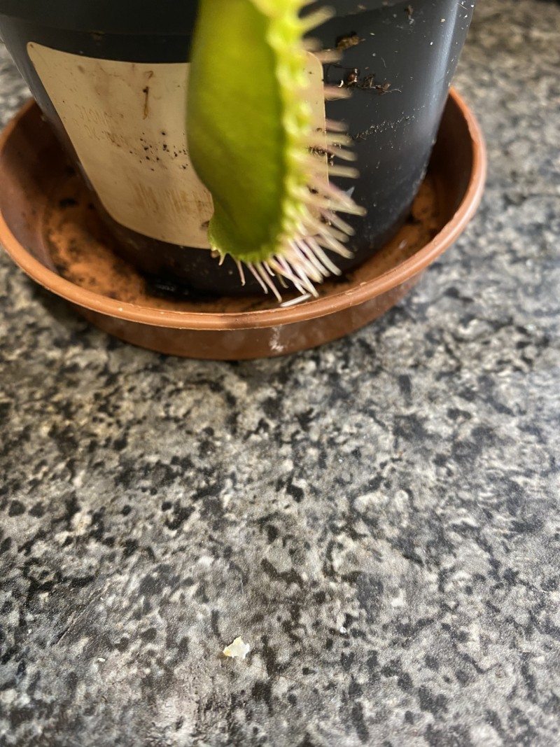 0DF3A0CD-B171-4A0E-84A9-F5AB3BC12F56