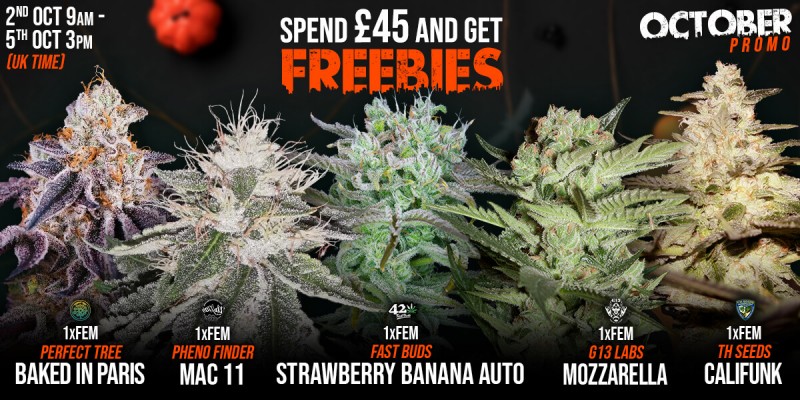 Attitude_ASB_OctoberPromo_Oct2023_Slider