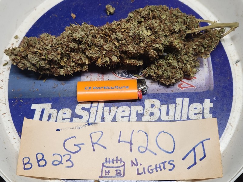 16965387781314362469411753875515