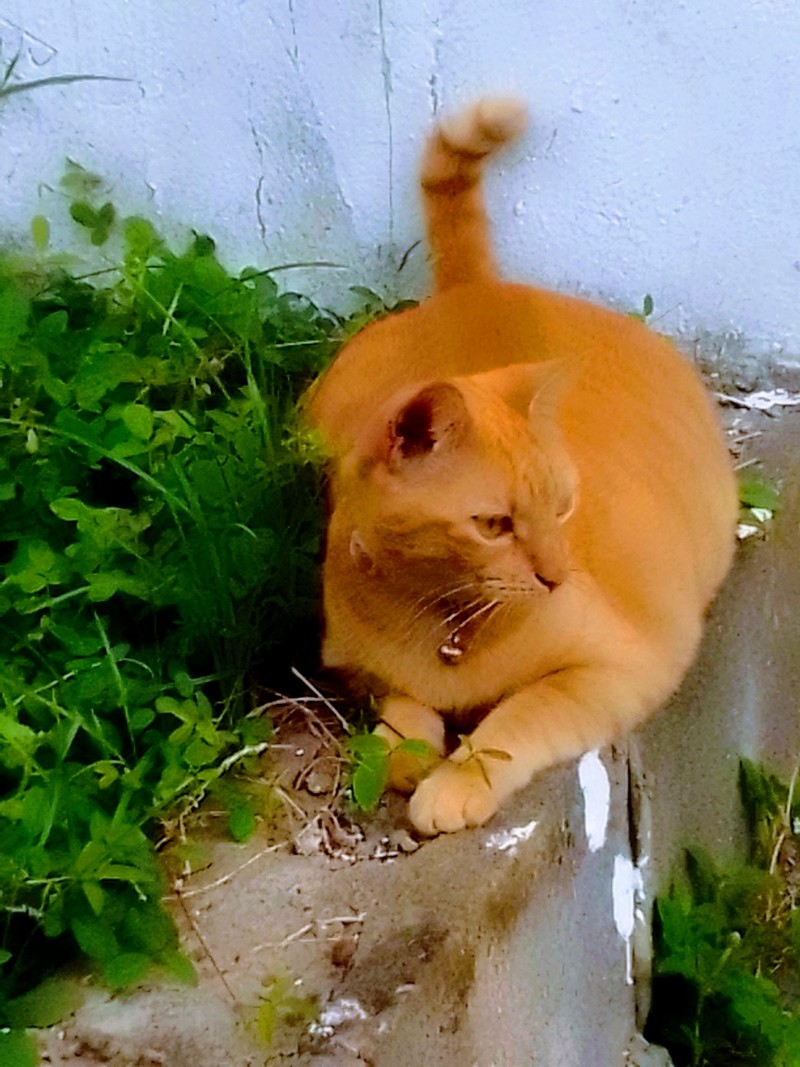 IMG_20231007_071909~2