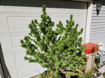 1697042352254186868818768138049