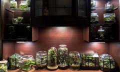 8938E392-C9B8-47FE-AFD8-3E63389F5965