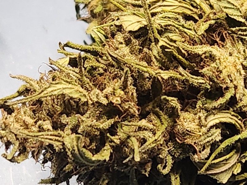 1697588356654164884468772637436