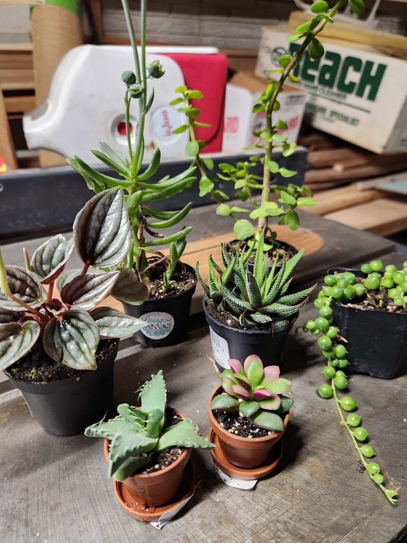 16977418491056179906675516660611