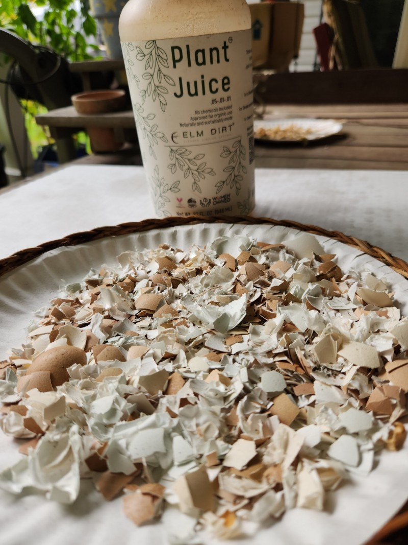 16977434390184888295777037938751