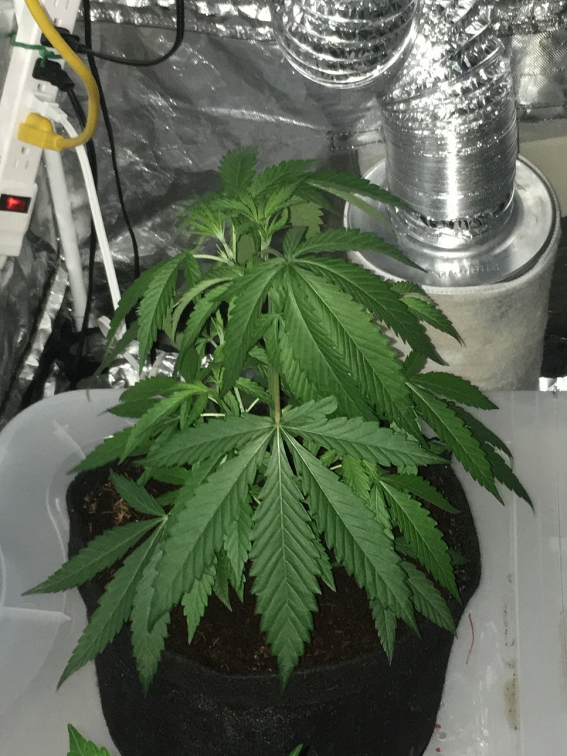 5F93978B-F0F4-4C0E-880C-5640CF00A6D9