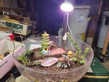 16979311299384553823585362353525