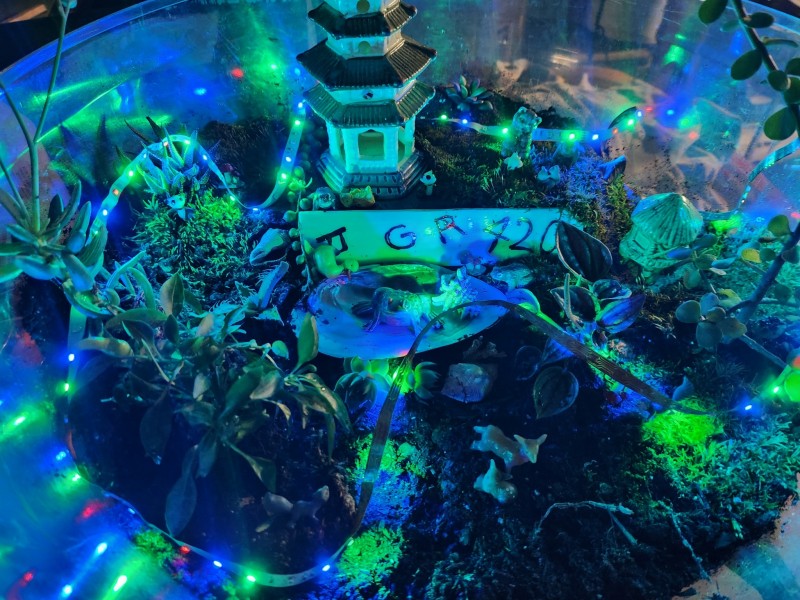 16979396196047036932893402005416