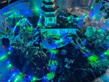 16979396196047036932893402005416