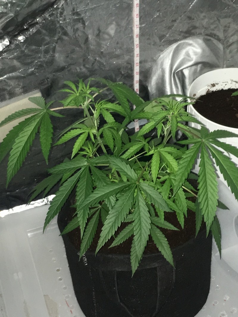 934A552C-9AF5-4E29-AA8D-ECBABBED56A0