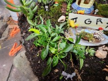 16979403581014726949385808130904