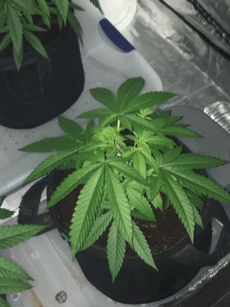 D2981C1C-CBC8-4E80-8F0F-F8F7E859882E