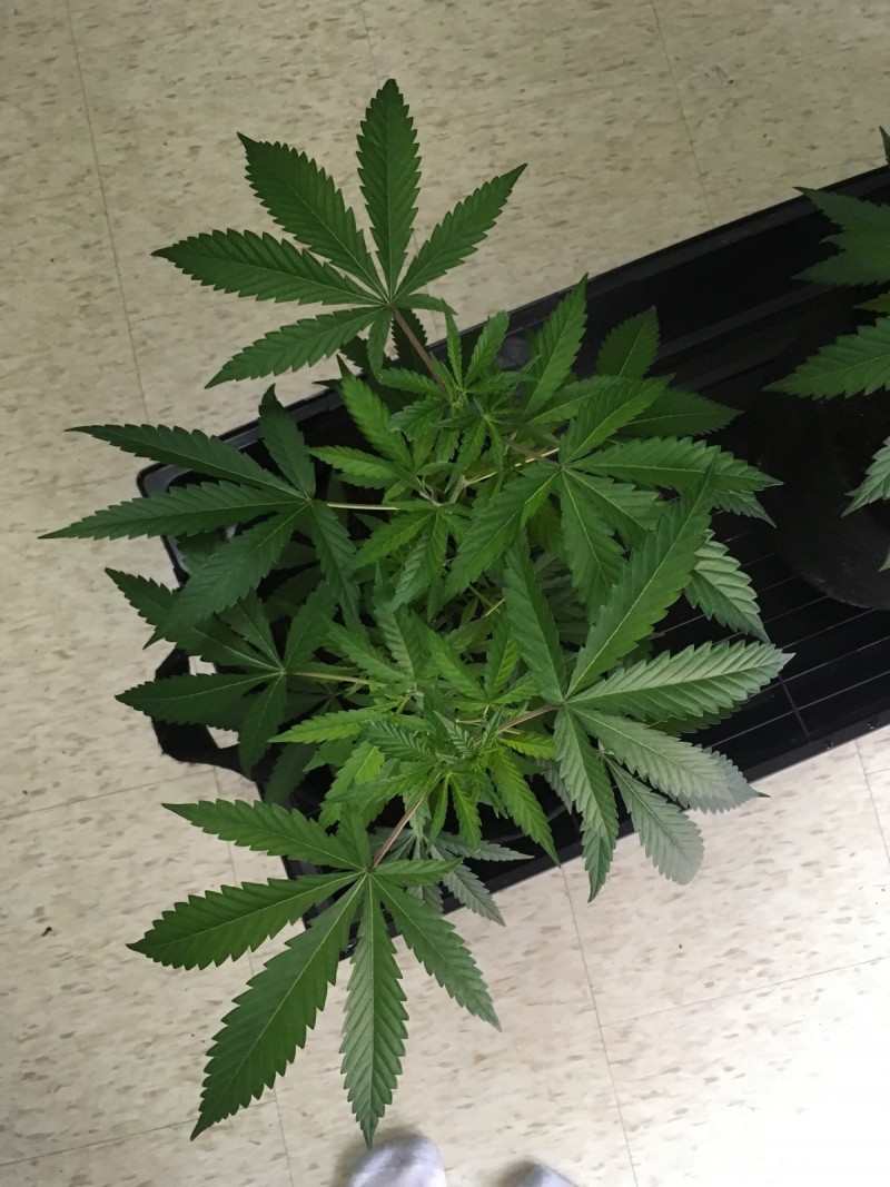 CCA2D487-3FF5-4DB9-BD61-1B0EBCEDA082