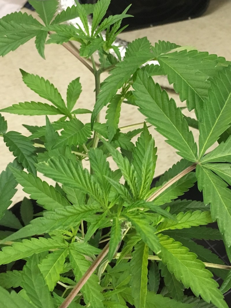 7764E46B-2F7E-4128-9636-806B895948C9