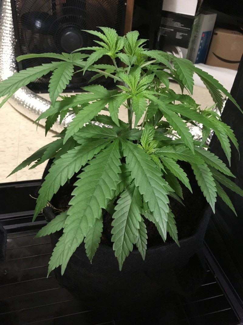 CE6703E5-FFE2-4302-915D-F32A941F0B72